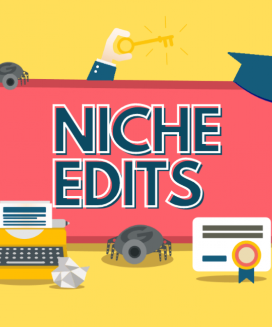 What are Niche Edits and Do They Work?